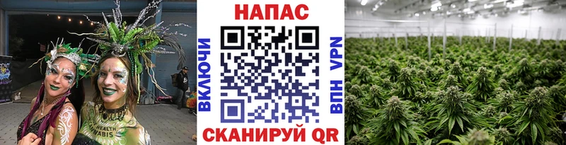Каннабис AK-47  Гусиноозёрск 